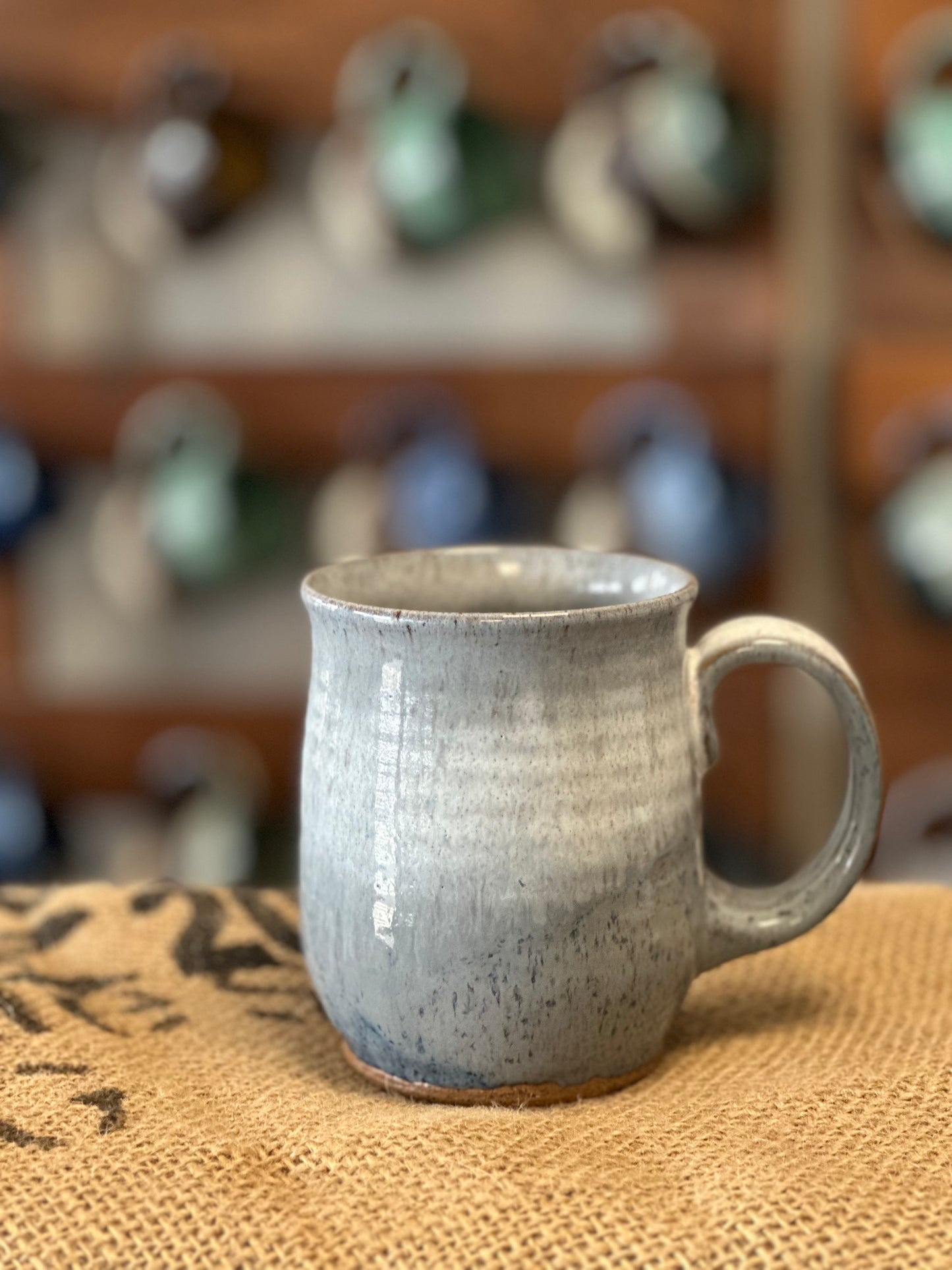 Winter Park Gray and White mug